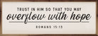 Overflow With Hope Romans 15 13 White 24x8 / White