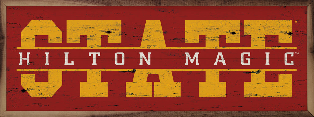 Word Cutout Iowa State 24x8 / Red