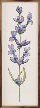 Lavender Stem 24x8 / White